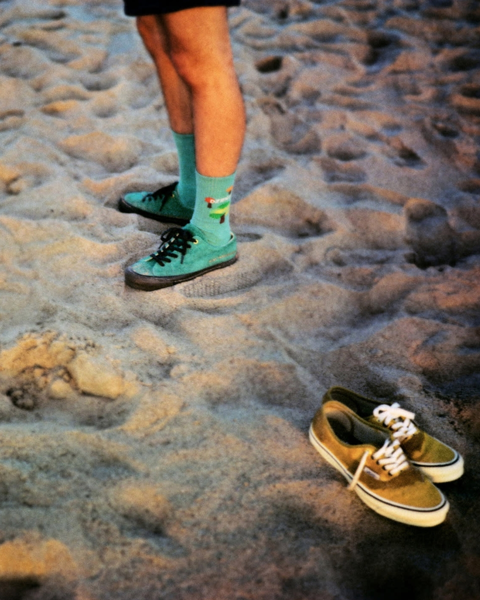 Vans in the sand