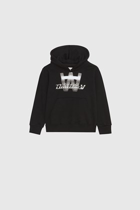 Double A by Wood Wood Izzy Chrome Combo Hoodie GOTS
